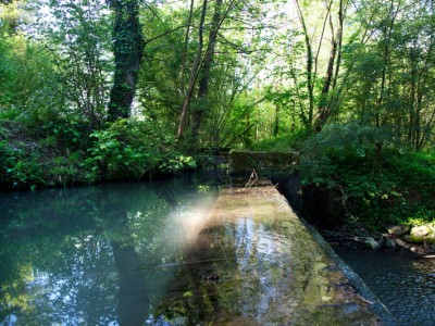 Seuil Moulin Crozet