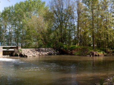 Chalaronne barrage de Tallard