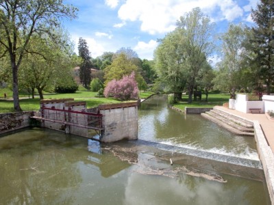 La Chalaronne à Châtillon