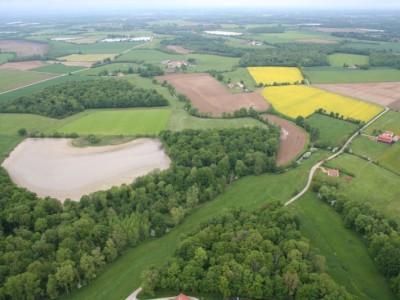 La Chalaronne en aval de la Carronnière