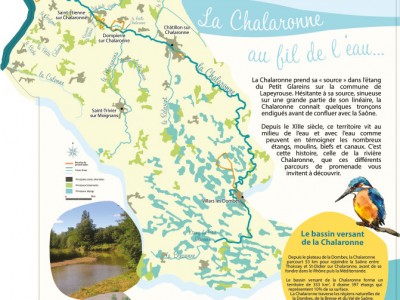 La Chalaronne au fil de l'eau