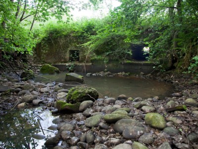 Source Chalaronne Ebie Petit Glareins