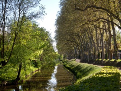 Les Echudes à Thoissey