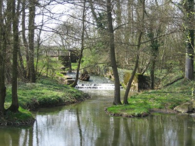 Confluence Ruisseau du Bourg - Chalaronne