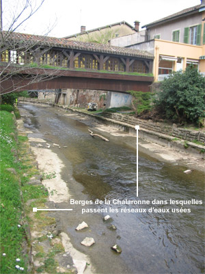 Berges de la Chalaronne