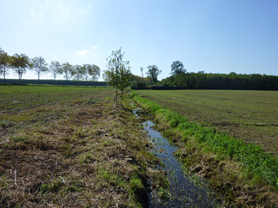 Entretien des fossés