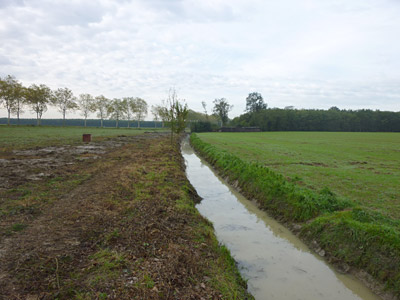 Entretien des fossés