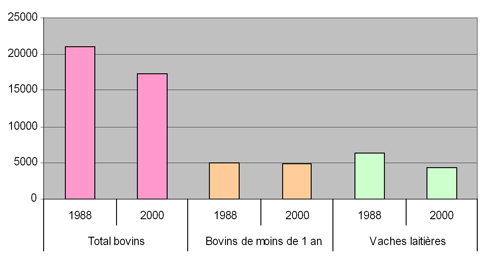 Evolutions du nombre de bovins et vaches laitières