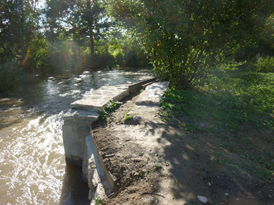 Restauration sur la rivière Chalaronne