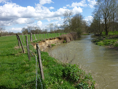 Pré Piron érodée par la Chalaronne
