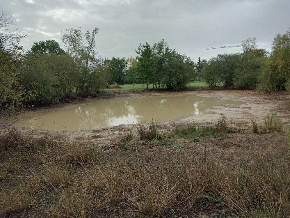 Image13